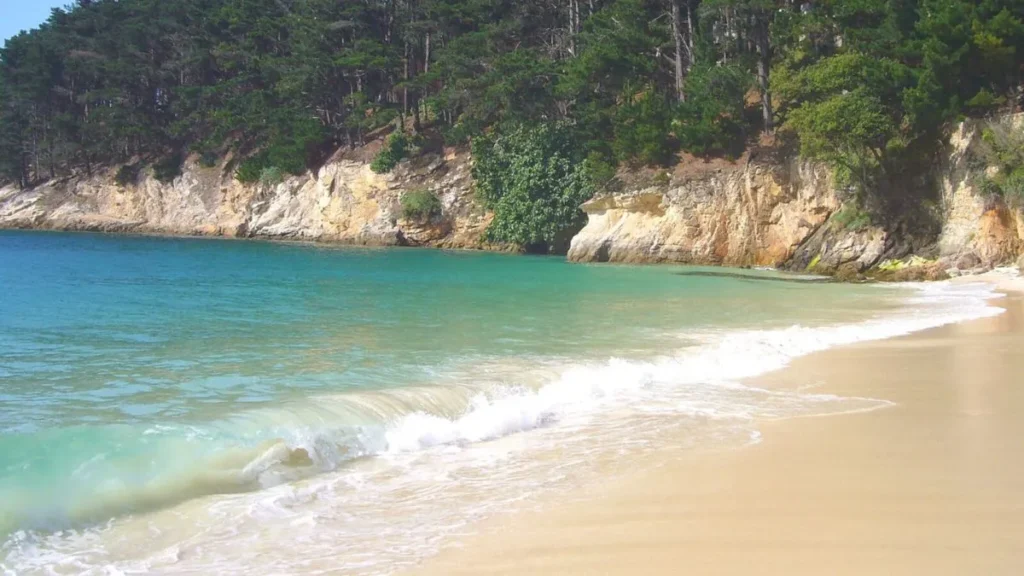 Cala de O Caolín con arena clara, agua turquesa y acantilado boscoso en la costa de Lugo