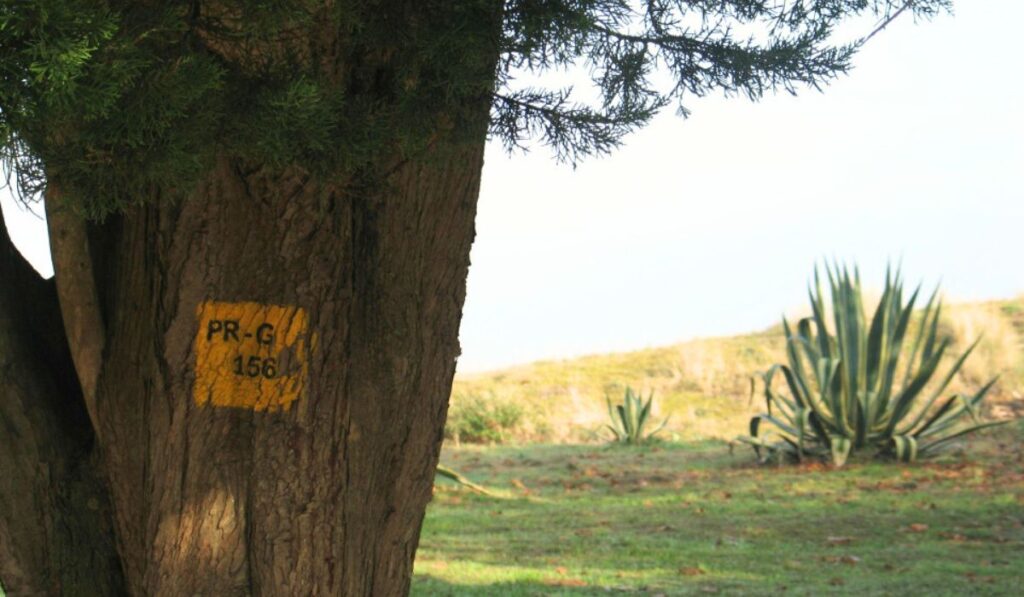 Ruta de A Costa de O Vicedo - Marca de la ruta