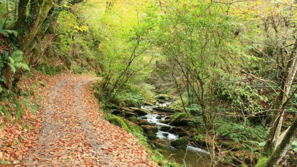 a pontenova Sendero junto al río Eo