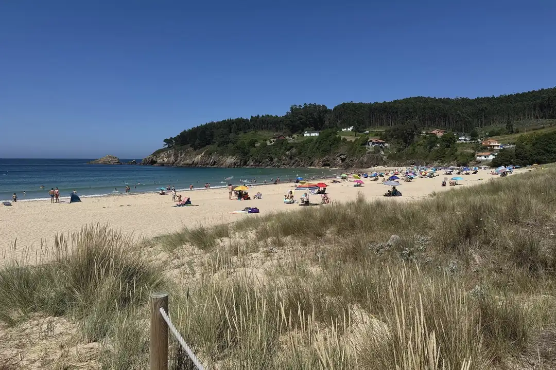 Duna con vegetación y valla de madera ante la playa de Xilloi, en O Vicedo, con bañistas en verano
