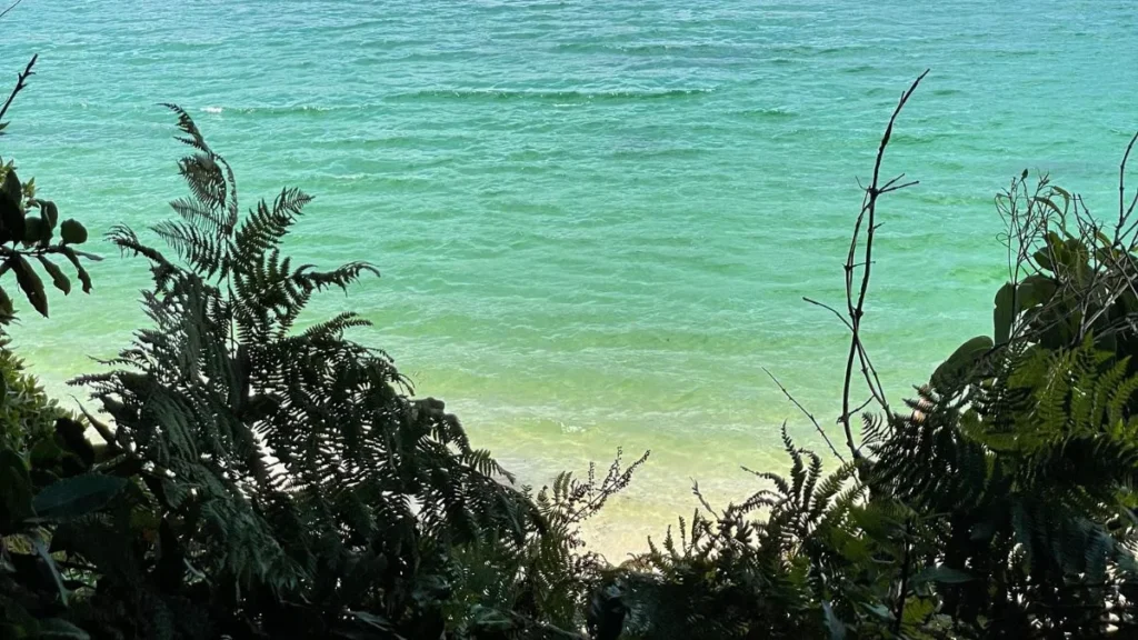 playa o caolin entorno natural