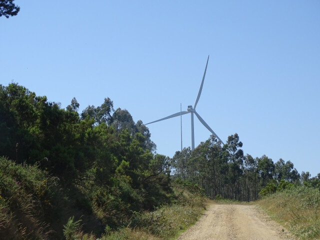 ruta del viento molinos