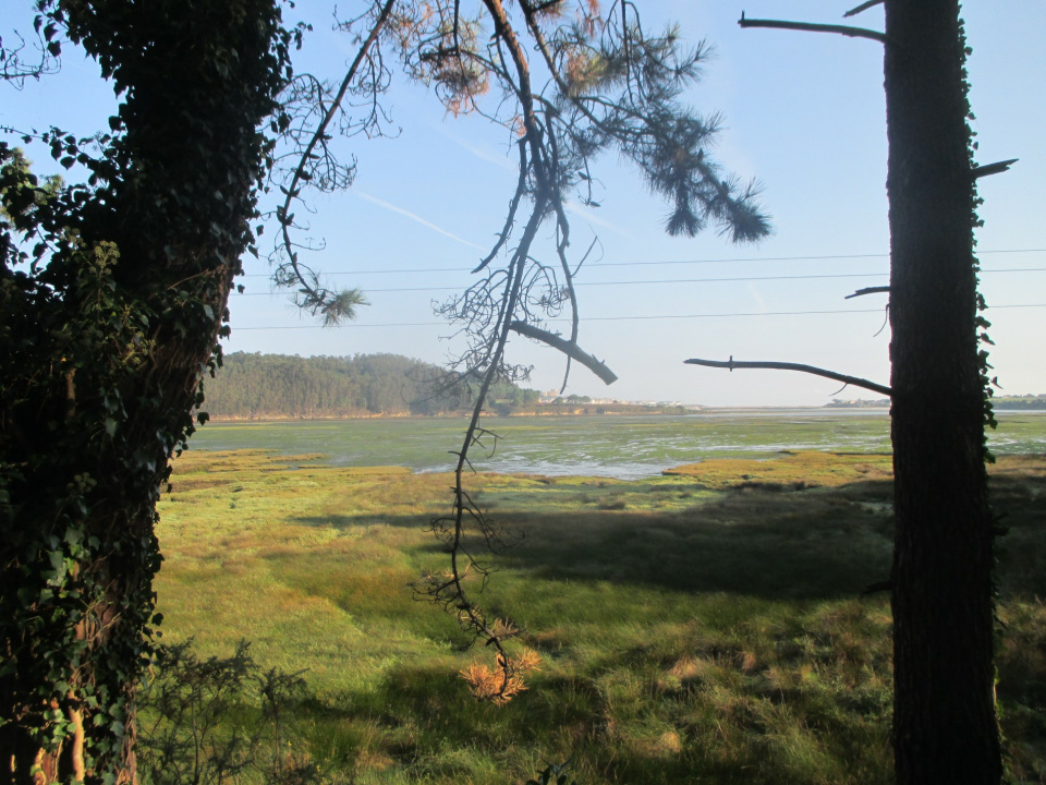 ruta laguna de pallanes foto de la ría