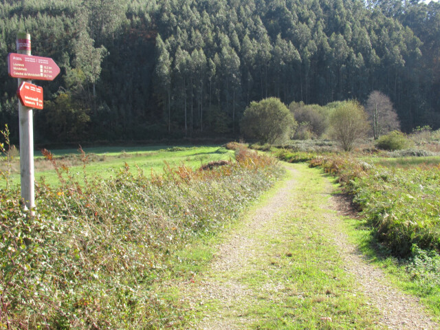 san rosendo camino y ruta en lugo